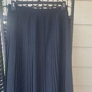 Elizabeth Arden Classic Black A-Line Skirt